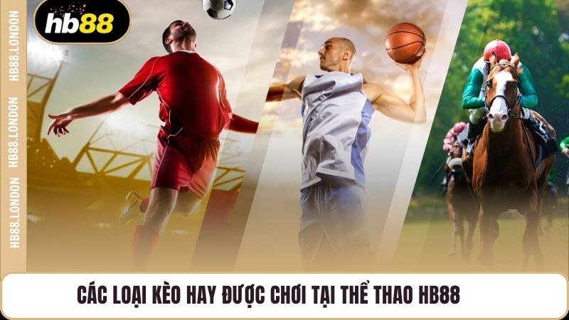 Các loại kèo hay được chơi tại thể thao HB88